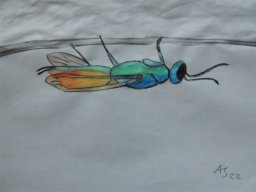 Drawn Pictures